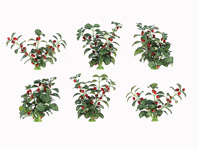 Potted Flowers And Plants With Green Leaves And Red Berries In Multiple Pots 3d model