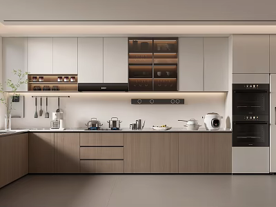 Modern Kitchen Interior Design With Wooden Cabinets Appliances And Sleek Countertop 3d model