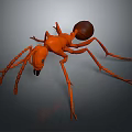 Orange 3D Ant Model With Large Brown Abdomen And Long Slender Legs