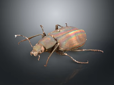Close Up View Of Shiny Iridescent Beetle With Metallic Sheen On Dark Background 3d model
