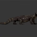 Realistic Komodo Dragon 3D Model Standing On Gray Background With Detailed Skin