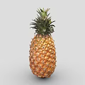 Fresh Ripe Pineapple With Green Leafy Top And Golden Yellow Diamond Pattern Skin