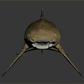 Realistic Aquatic Animal Spotted Shark With Distinct Body Spots And Fins