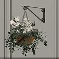 Hanging Potted Plant on Wall with White Flowers Green Leaves and Metal Bracket