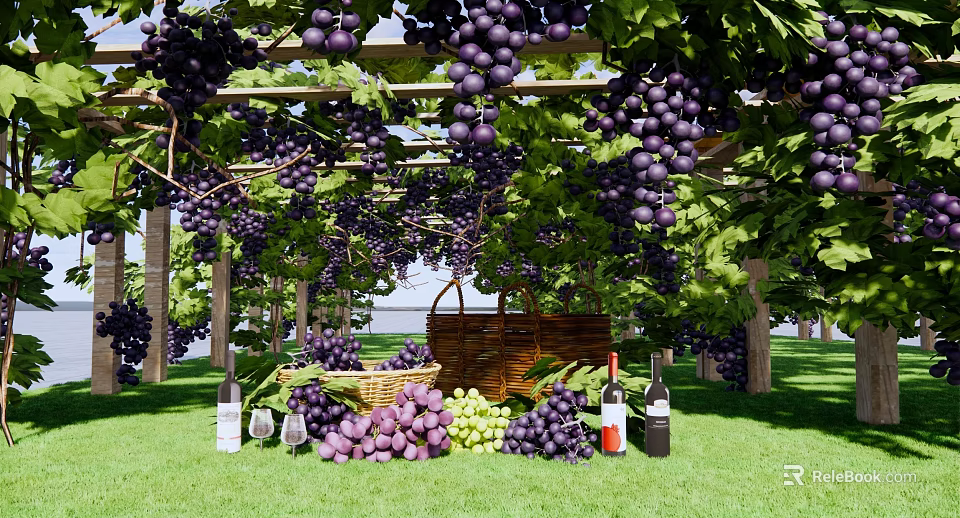 Lush Grape Vines Covered Pergola With Fresh Grapes Wine Bottles And Basket On Green Grass 3d model 