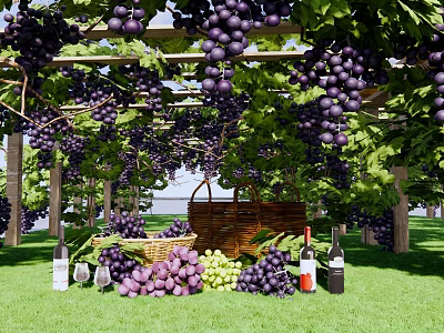Lush Grape Vines Covered Pergola With Fresh Grapes Wine Bottles And Basket On Green Grass 3d model
