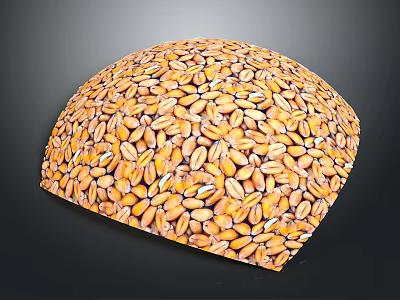 Golden Yellow Wheat Grains Formed Into a Smooth Hemisphere Shape 3d model