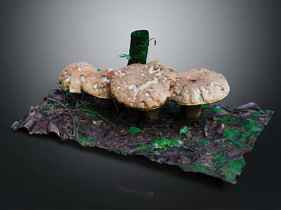 Brown Mushrooms with White Spotted Caps Light Brown Stems on Green Moss Dried Leaves 3d model
