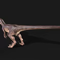 Realistic Velociraptor Dinosaur Model With Green Eyes And Brown Skin Standing On Black Background