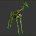 Giraffe with Brown and White Spots Long Neck Standing on Dark Background