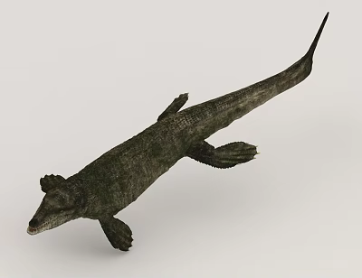 Aquatic Animal With Long Body Scaly Skin Flippers And Streamlined Shape In Aquatic Habitat 3d model