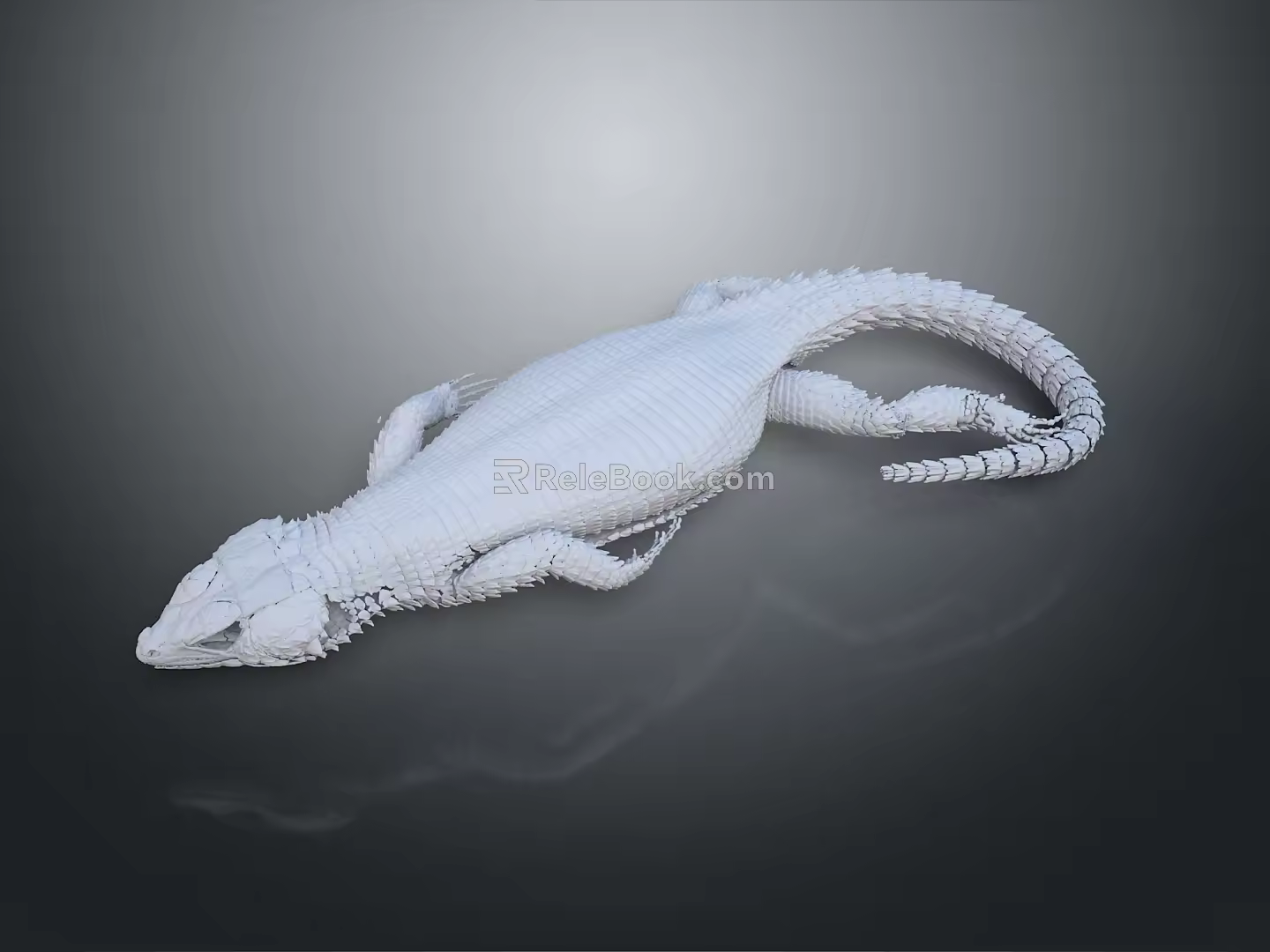 Crocodile Alligator Nile Crocodile carnivore reptile cold-blooded animal reptile 3d model