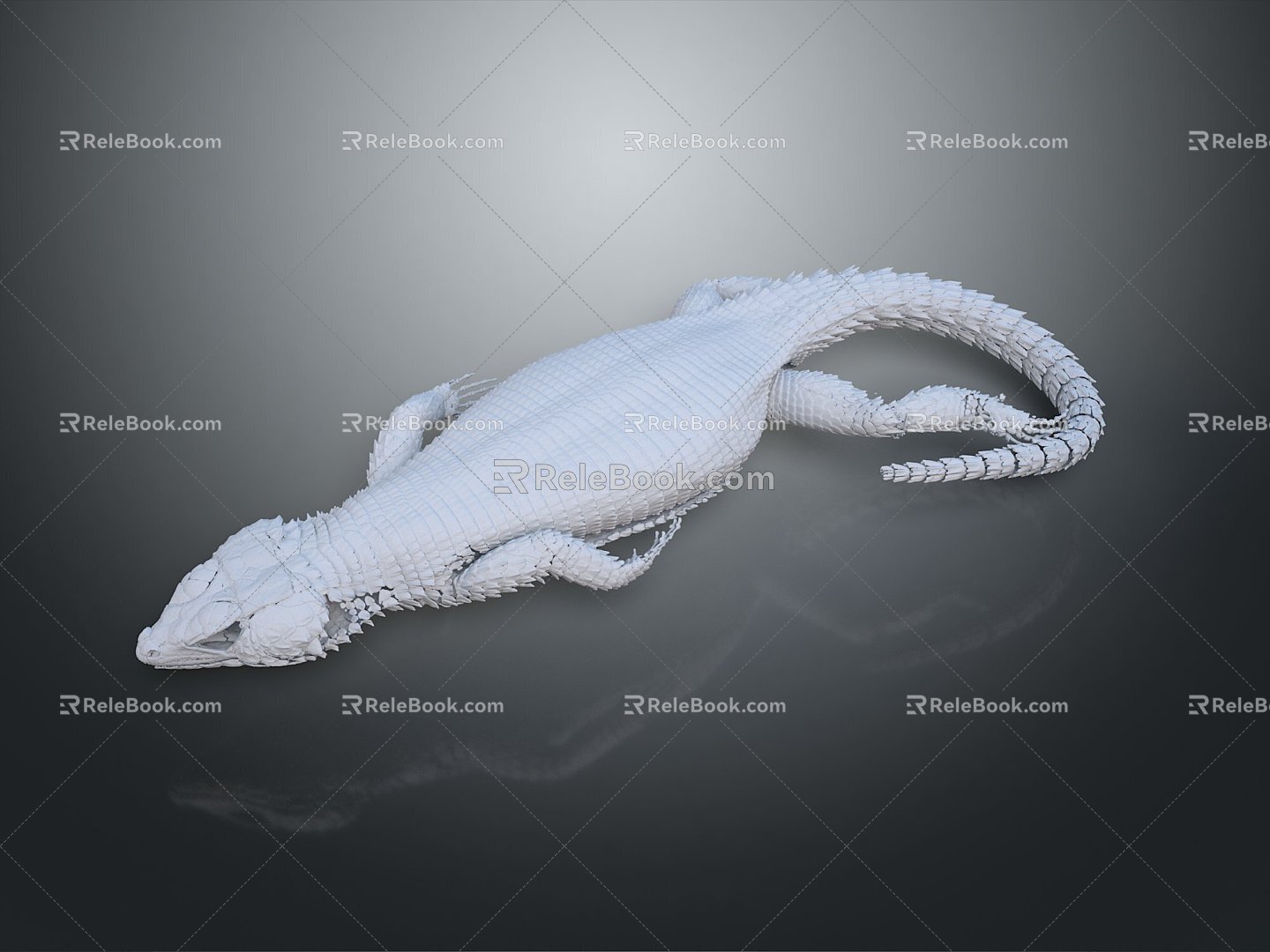 Crocodile Alligator Nile Crocodile carnivore reptile cold-blooded animal reptile reptile 3d model