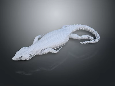 Detailed White Reptile 3D Model with Reflection on Dark Background 3d model