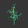Green Vine Plant with Yellow Small Flowers Green Leaves and Bean Pods