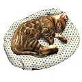 Two Tabby Cats Sleeping Peacefully On Colorful Star Pattern Pet Beds