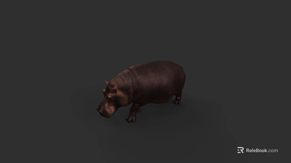 Realistic Brown Hippopotamus Aquatic Animal With Plump Body On Dark Background 3d model 