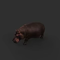 Realistic Brown Hippopotamus Aquatic Animal With Plump Body On Dark Background