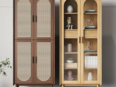 Modern Minimalist Bookcases With Rattan And Glass Doors For Decorations And Books 3d model