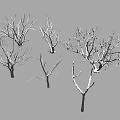 Dead branches Snow modeling trees Dead trees Winter trees Snow trees Snow trees Snow plants Snow trees 3d model