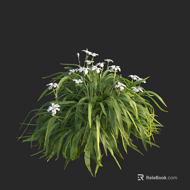 Healthy Aquatic Plants Growing With Long Green Leaves And White Flowers 3d model 