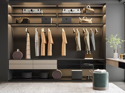 Modern Wardrobe Interior Design With Hanging Clothes Suitcases Storage Boxes And Bags 3d model