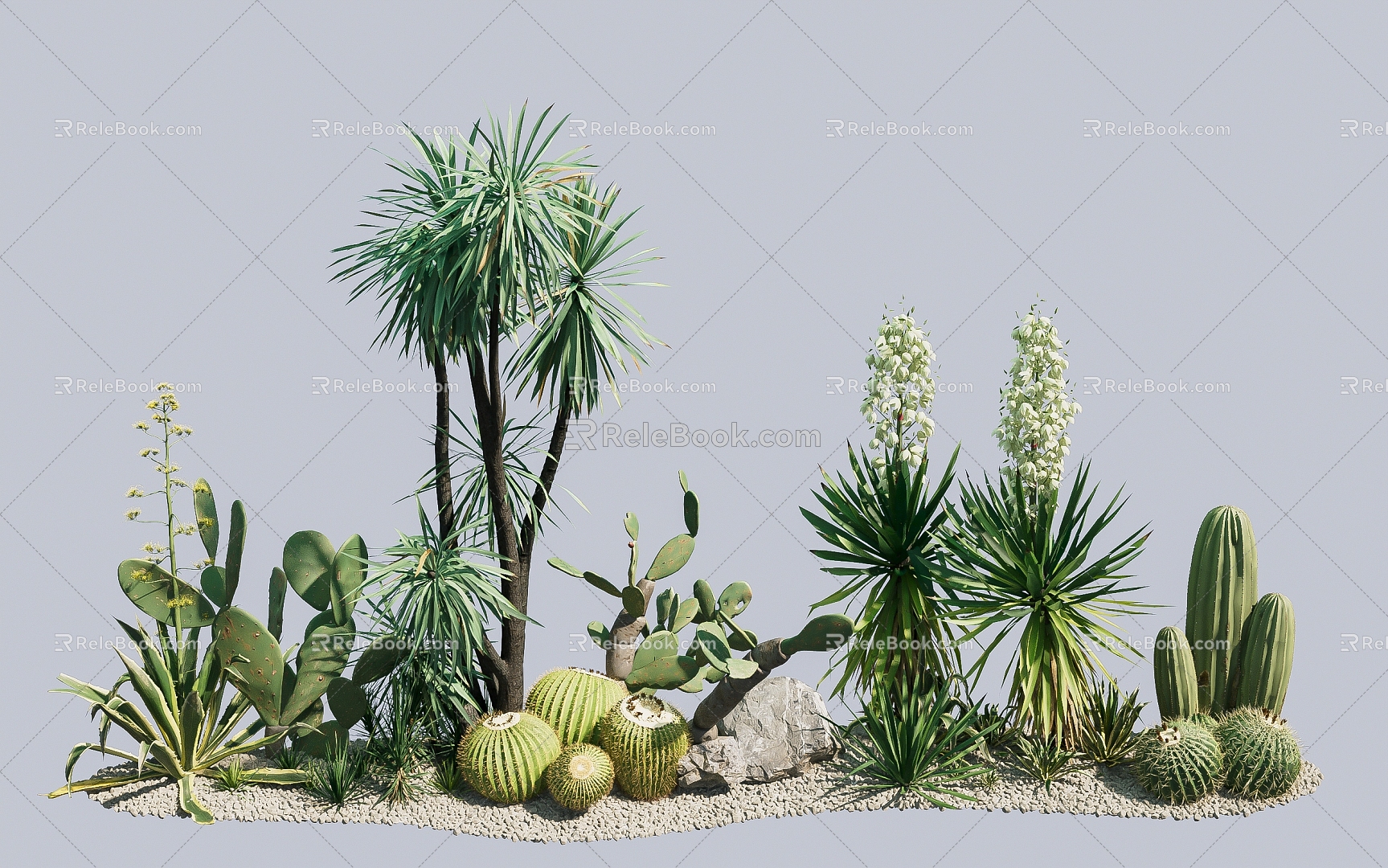 Advanced small fresh courtyard indoor greening wall sand plants cactus desert plants landscaping lazy people must 3d model