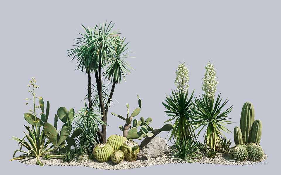 Various Cacti Succulent Plants And Tall Green Plants With Stones Pebbles 3d model 