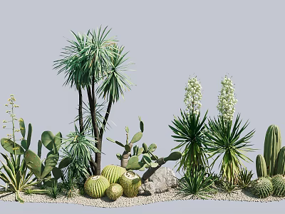 Various Cacti Succulent Plants And Tall Green Plants With Stones Pebbles 3d model