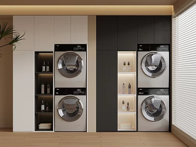 Modern Balcony Cabinet Design With Stacked Washer Dryer Storage And Green Plant Blinds 3d model