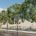 Efficient Urban Road Facilities Featuring Lined Trees Wet Surface And White Building