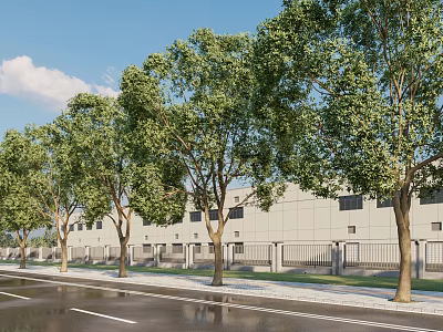 Efficient Urban Road Facilities Featuring Lined Trees Wet Surface And White Building 3d model