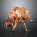 Detailed Brown Armored Beetle With Multi Legged Textured Exoskeleton Body Structure 3d model