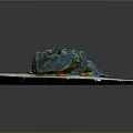 Frog Poison Frog Game Frog Reptile Cold Blooded Animal Reptile 3d model