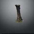 Small Plants And Moss Growing On Tree Stump Base With Natural Texture And Greenery