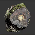 Wooden Tree Stump Decor Piece Featuring Natural Mossy Texture And Small Woven Basket