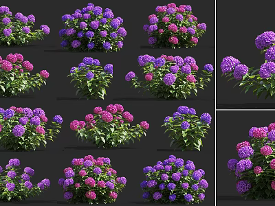 Vibrant Purple And Pink Flowers With Green Leaves In Lush Garden 3d model