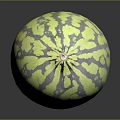 Fresh Yellow And Purple Striped Round Watermelon With Vibrant Exterior And Smooth Texture