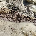 Natural Rocky Canyon Landscape With Stony Dirt Path And Steep Cliff Walls