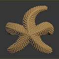 Unique Golden Starfish Cuff Bracelet With Textured Dots Design For Fashion