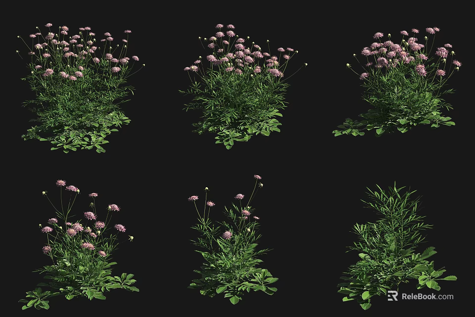 Various Blooming Flowers And Green Leaf Plants In Different Growth Forms 3d model