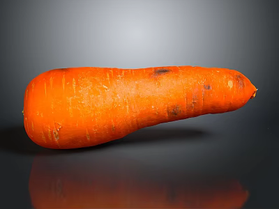 Healthy Fresh Orange Carrot With Natural Texture And Reflection On Gray Background 3d model
