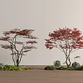 red maple landscape tree maple claw tree moss terrain 3d model
