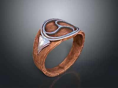 Unique Wooden Metal Ring With Artistic Decorative Design For Daily Use 3d model