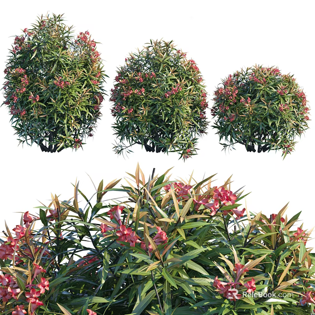 Vibrant Shrubs With Red Flowers And Lush Green Leaves In Garden 3d model 