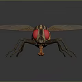 Detailed Realistic Fly With Red Eyes Transparent Wings And Striped Body On Dark Background