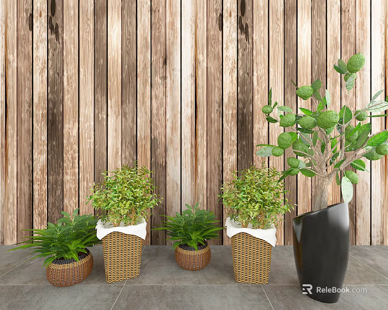 Lush Green Bonsai Potted Plants Display With Wooden Background Wall And Multiple Pots 3d model 