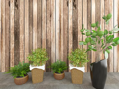 Lush Green Bonsai Potted Plants Display With Wooden Background Wall And Multiple Pots 3d model