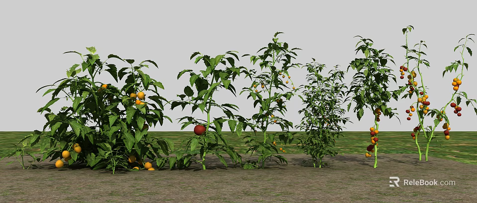 Fresh Growing Vegetable Plants With Lush Green Leaves And Yellow Red Fruits In Garden 3d model 