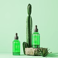 Green Skincare Serum Bottles With Cactus Aloe Vera And Stone Base